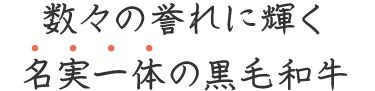 京丹波平井牛