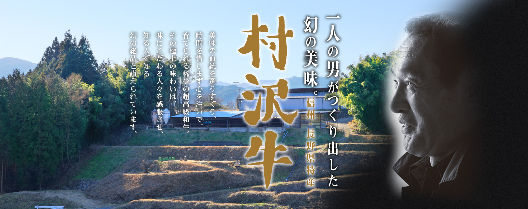 村沢牛