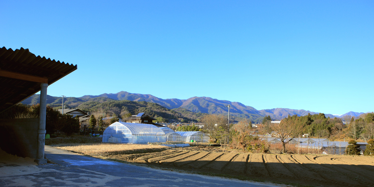 村沢牛